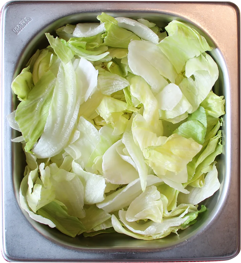 Vaschetta acciaio gastronorm con lattuga tritata